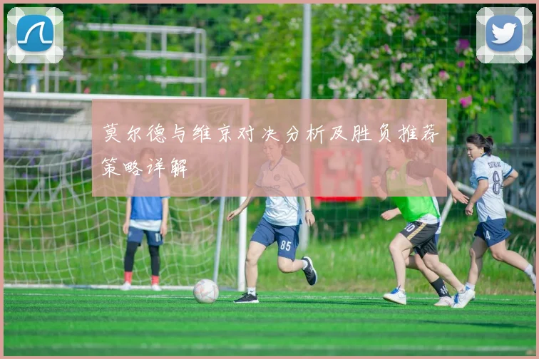 莫尔德与维京对决分析及胜负推荐策略详解