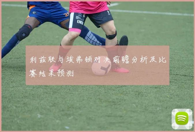利兹联与埃弗顿对决前瞻分析及比赛结果预测