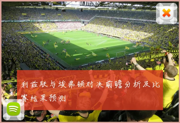 利兹联与埃弗顿对决前瞻分析及比赛结果预测