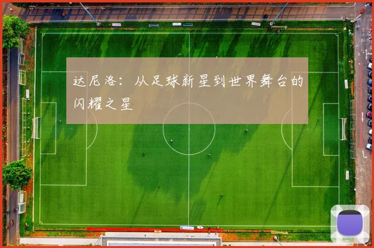 达尼洛：从足球新星到世界舞台的闪耀之星